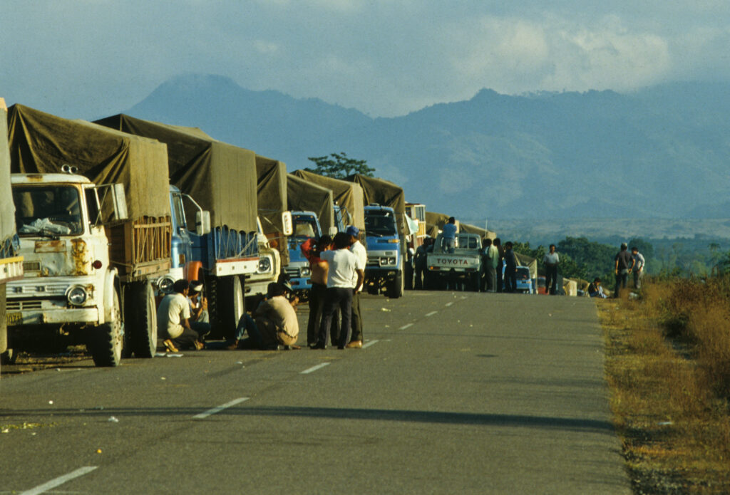 el salvador880383